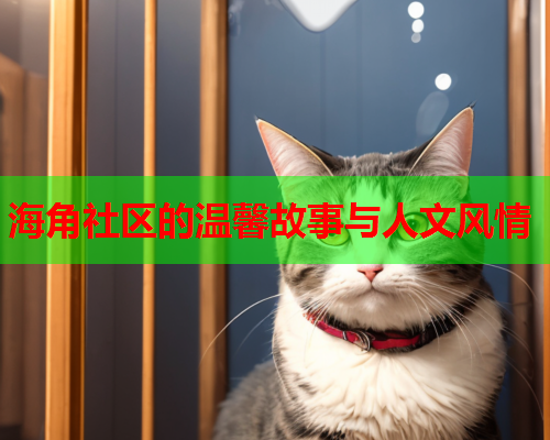 海角社区的温馨故事与人文风情 海角社区的温馨故事与人文风情